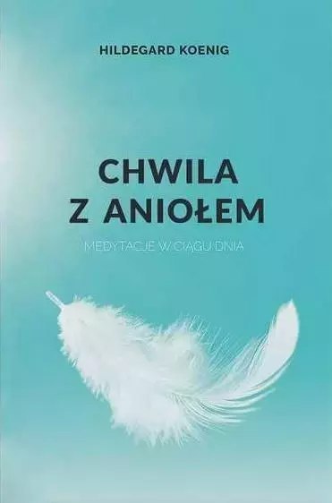 Chwila z aniołem. Medytacje w ciągu dnia Chwila z aniołem. Medytacje w ciągu dnia