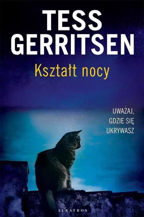 Kształt nocy Kształt nocy