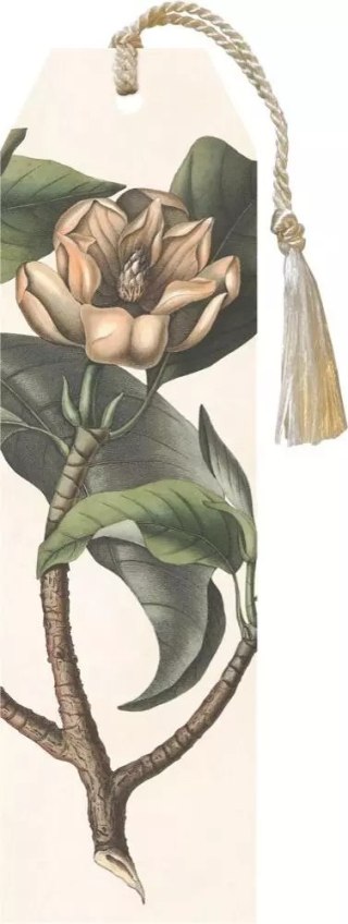 Zakładka ze wstążką. Magnolia