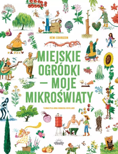 Miejskie ogródki - moje mikroświaty Miejskie ogródki - moje mikroświaty