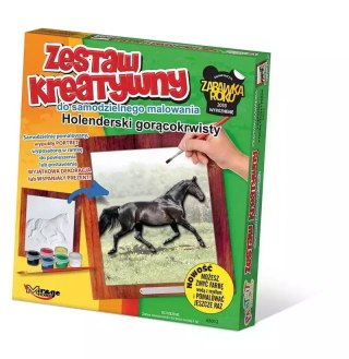 Zestaw kreatywny do malowania. Koń holenderski