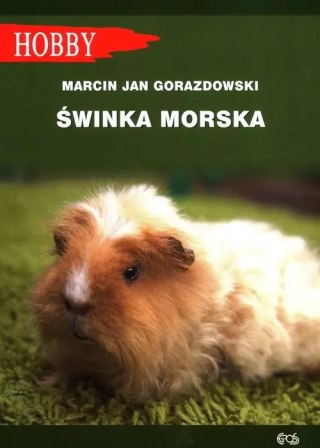 Świnka morska (wyd. 2021)