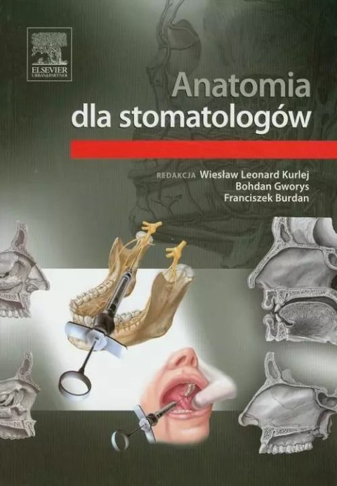 Anatomia dla stomatologów Anatomia dla stomatologów