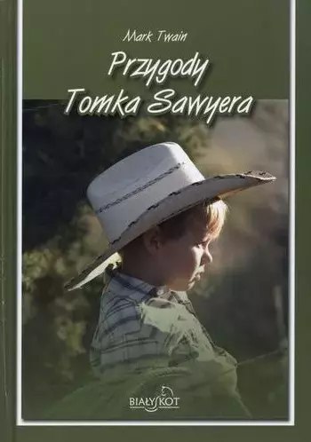 Przygody Tomka Sawyera Przygody Tomka Sawyera