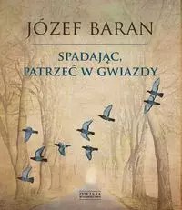 Spadając, patrzeć w gwiazdy Spadając, patrzeć w gwiazdy