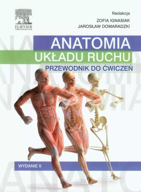 Anatomia układu ruchu. Przewodnik do ćwiczeń Anatomia układu ruchu. Przewodnik do ćwiczeń