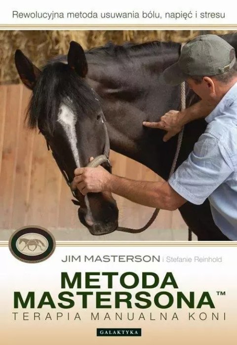Metoda Mastersona. Terapia manualna koni Metoda Mastersona. Terapia manualna koni