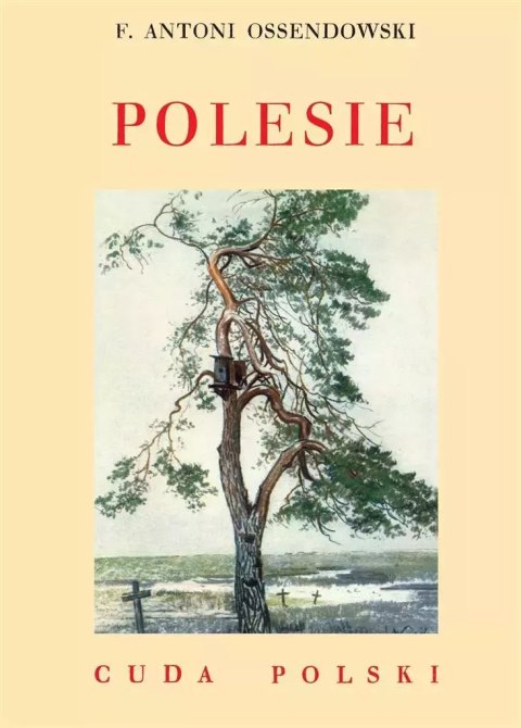 Polesie Polesie