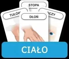 Karty "Rozwijamy mowę - Ciało"
