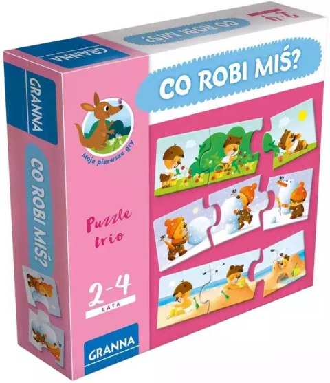 Co robi miś? Co robi miś?
