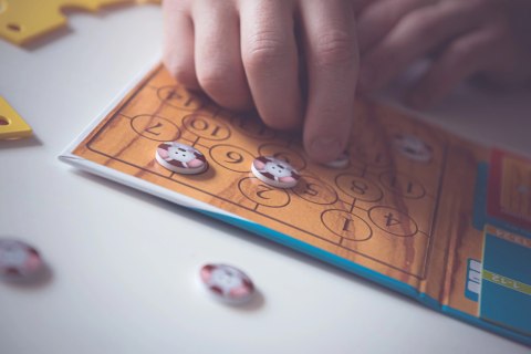 Smart Games. Brain Cheeser (wersja angielska)