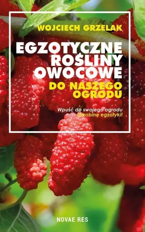 Egzotyczne rośliny owocowe do naszego ogrodu Egzotyczne rośliny owocowe do naszego ogrodu