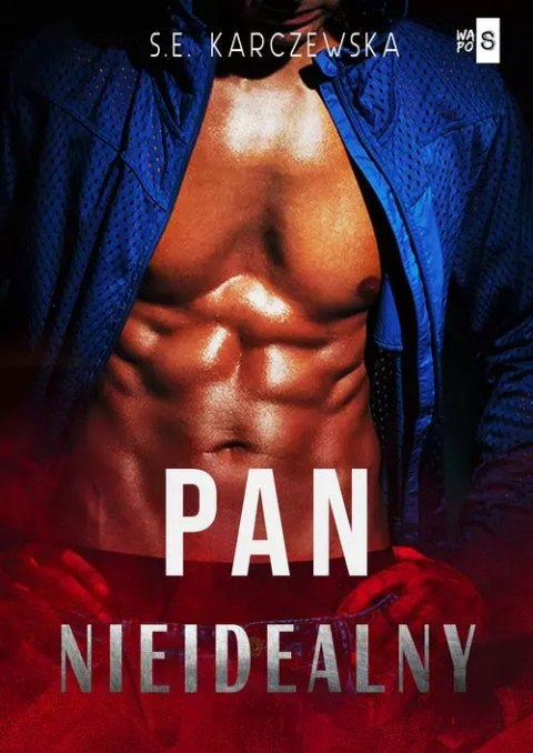 Pan nieidealny Pan nieidealny