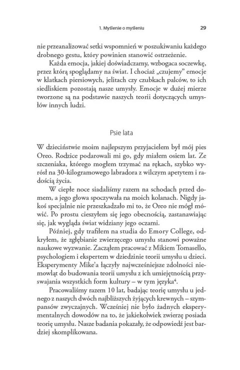 Piłkomatyka
