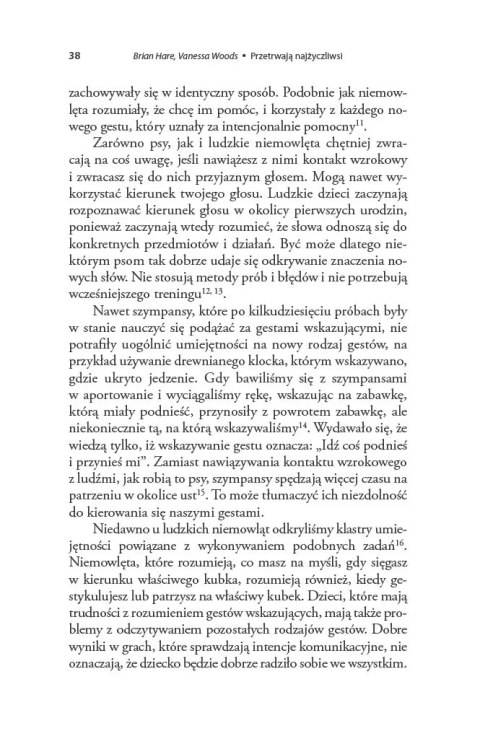 Piłkomatyka