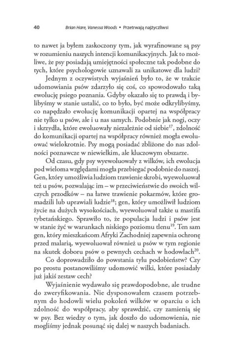 Piłkomatyka