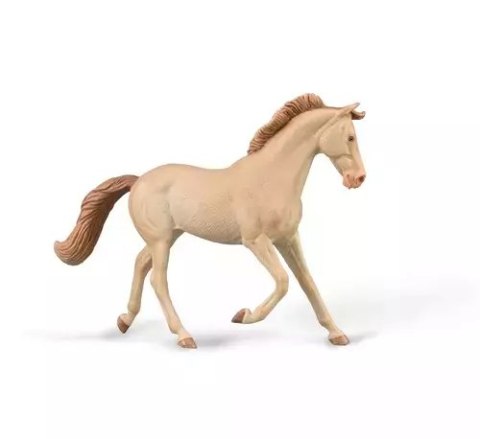 Klacz Thoroughbred maści Perlino Klacz Thoroughbred maści Perlino