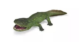 Koolasuchus cleelandi