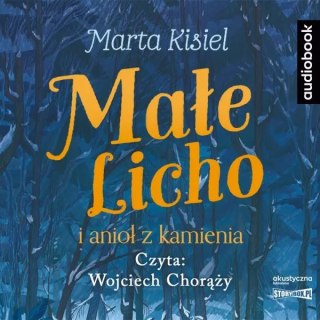 Małe Licho i anioł z kamienia. Audiobook