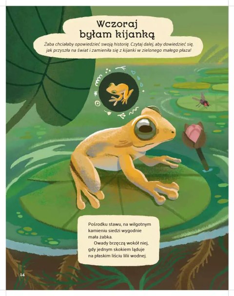 Leśne opowieści Leśne opowieści