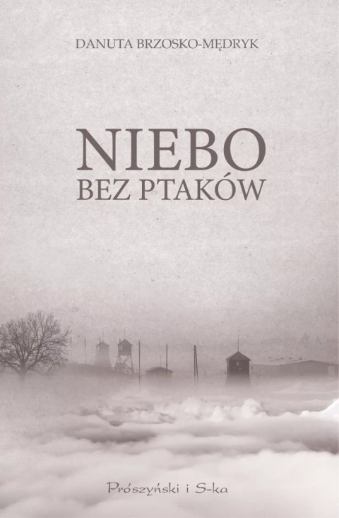 Niebo bez ptaków Niebo bez ptaków
