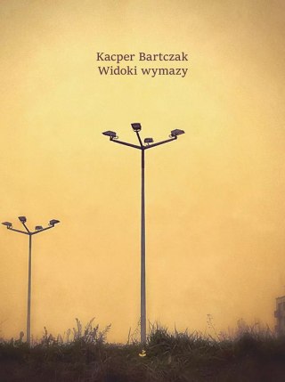 Poezje. Widoki wymazy