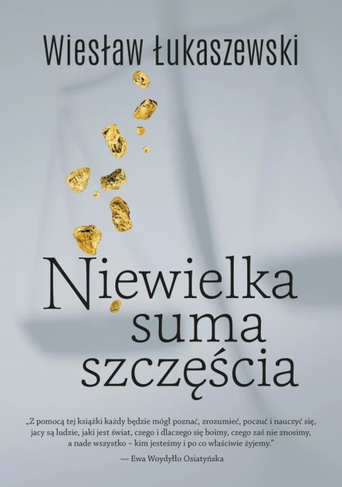 Niewielka suma szczęścia Niewielka suma szczęścia