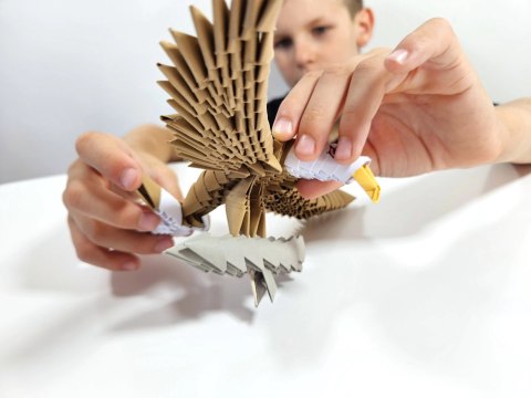 Origami 3D. Orzeł (336 elementów)