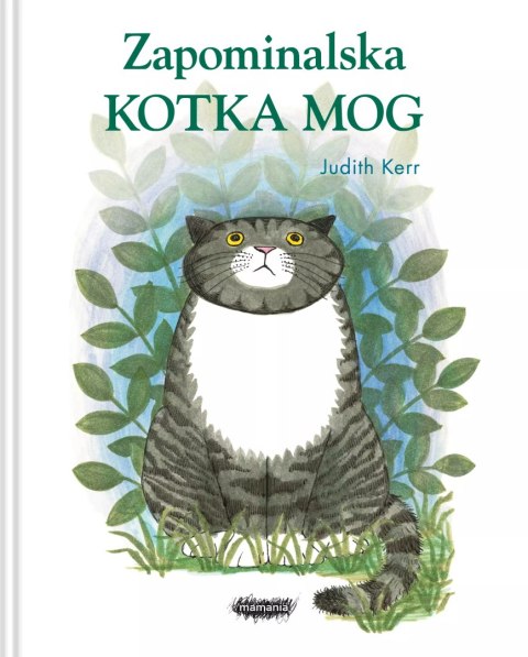Zapominalska kotka Mog Zapominalska kotka Mog