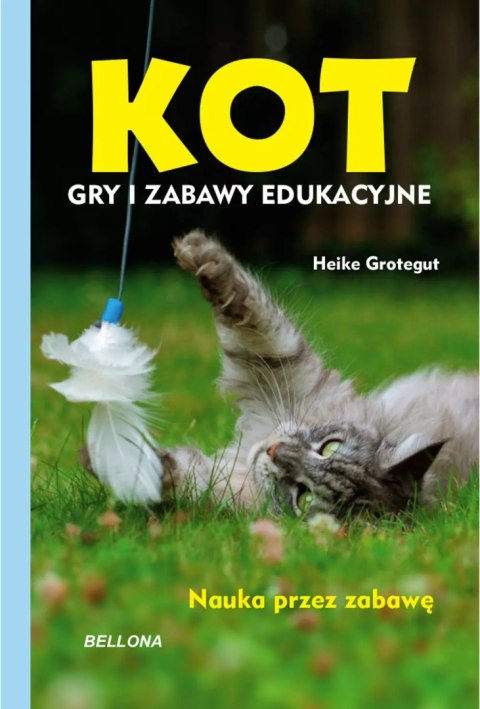 Kot. Gry i zabawy edukacyjne Kot. Gry i zabawy edukacyjne