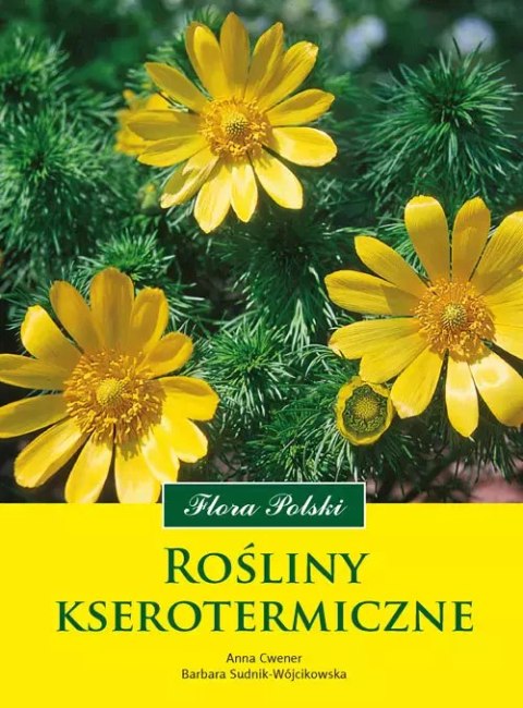 Rośliny kserotermiczne Rośliny kserotermiczne