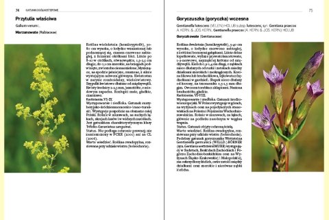 Rośliny kserotermiczne Rośliny kserotermiczne