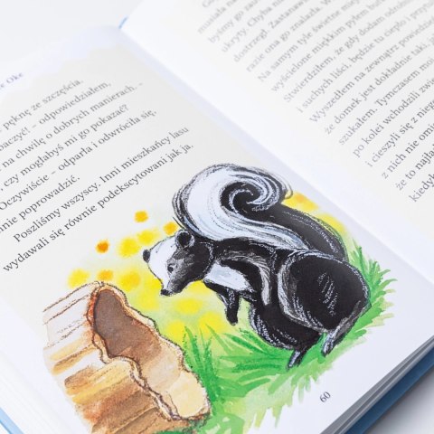 Skunksik i szkoła charakteru