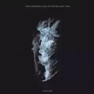 The Answer Lies In The Black Void, CD