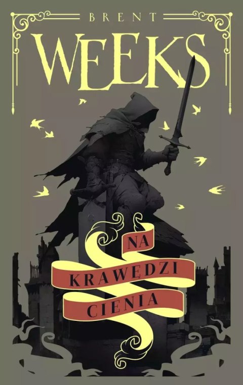 Anioł Nocy. Tom 2. Na krawędzi Cienia Anioł Nocy. Tom 2. Na krawędzi Cienia