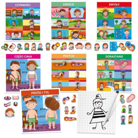 Montessorii. Jak jesteśmy zbudowani? 3-5 lat Montessorii. Jak jesteśmy zbudowani? 3-5 lat