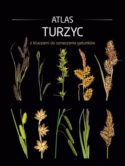 Atlas turzyc z kluczami do oznaczania gatunków Atlas turzyc z kluczami do oznaczania gatunków