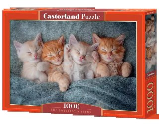 Puzzle 1000 elementów. Najsłodsze kocięta