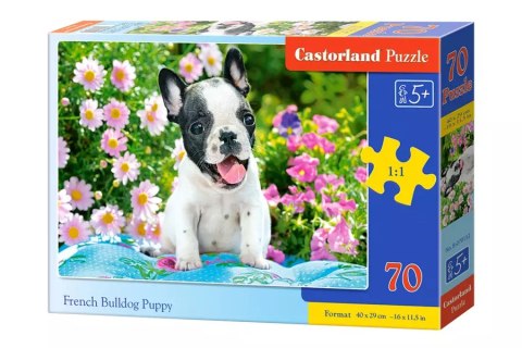 Puzzle 70 elementów. French Bulldog Puppy Puzzle 70 elementów. French Bulldog Puppy