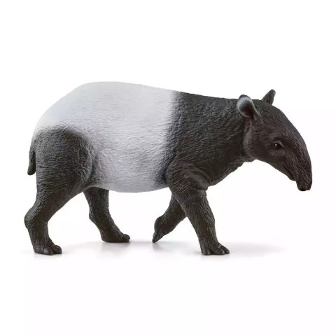 Wild Life. SLH14850. Tapir Wild Life. SLH14850. Tapir