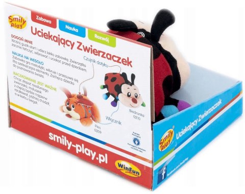 Uciekająca biedronka