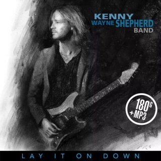 Lay It On Down. Winyl