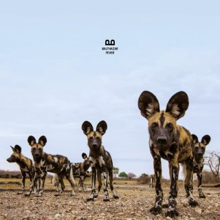 Fever, CD