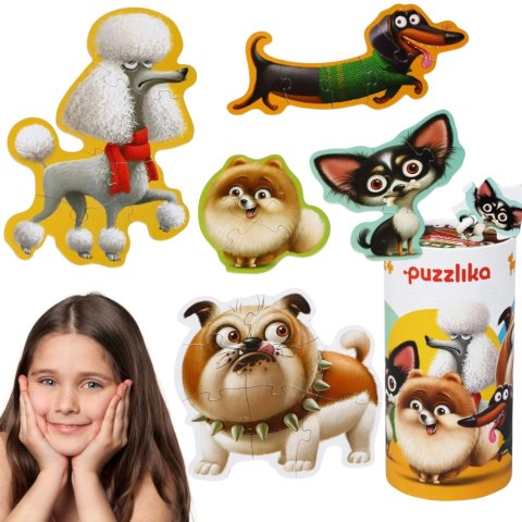 Puzzle 5w1. Psy Puzzle 5w1. Psy