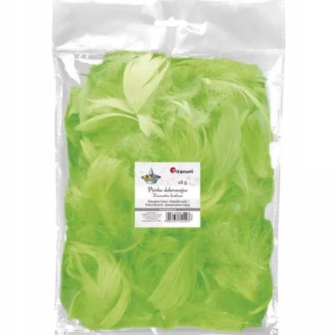 Ozdoba dekoracyjna Piórka 16g J.zie 414326 Pbh Ozdoba dekoracyjna Piórka 16g J.zie 414326 Pbh