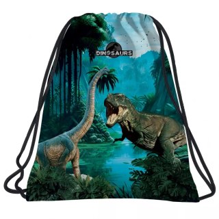 Worek Szkol Na Buty 34x42 Dinozaur 19 Derform Fol