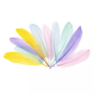 Piórka gęsie 15-20cm pastelowe