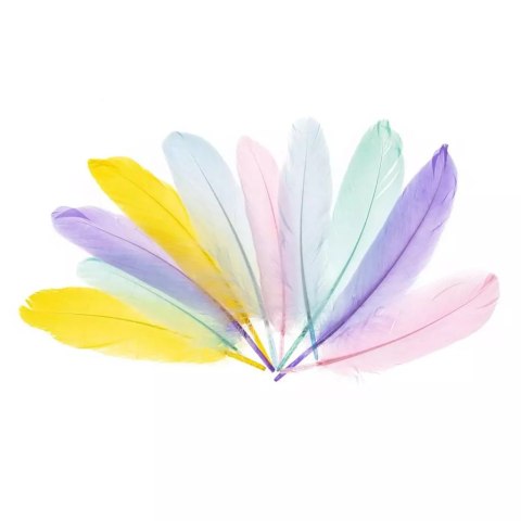 Piórka gęsie 15-20cm pastelowe Piórka gęsie 15-20cm pastelowe