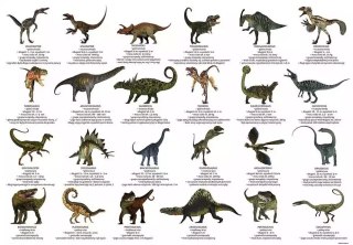 Podkład oklejany edukacyjny. Dinozaury