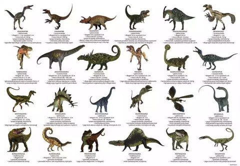 Podkład oklejany edukacyjny. Dinozaury Podkład oklejany edukacyjny. Dinozaury